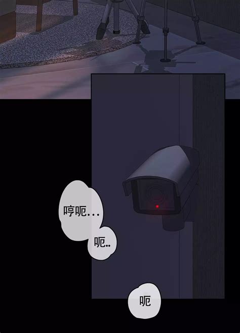 躲不开的本命|躲不开的本命漫画免费在线阅读「下拉观看」